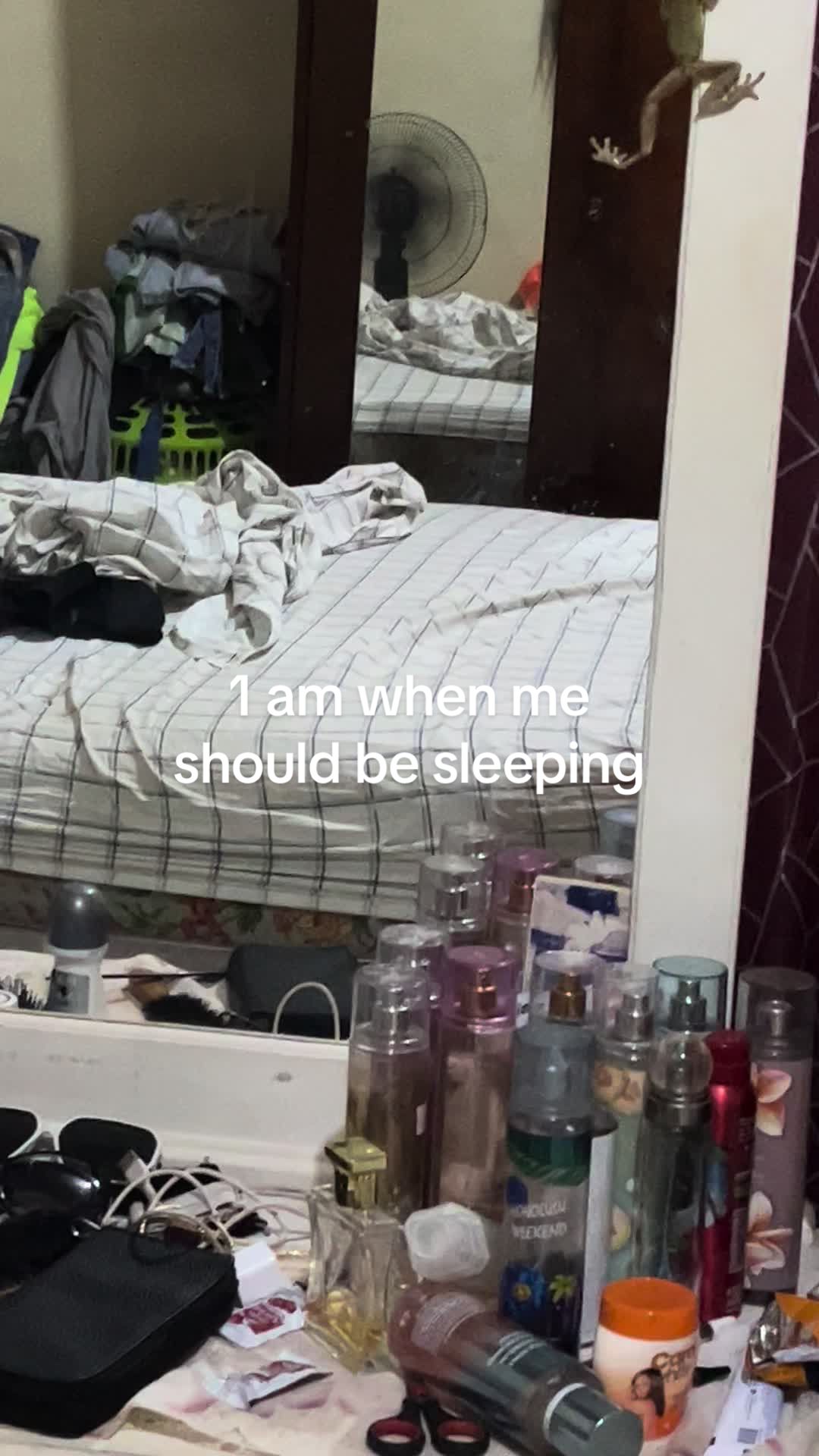 @Tash