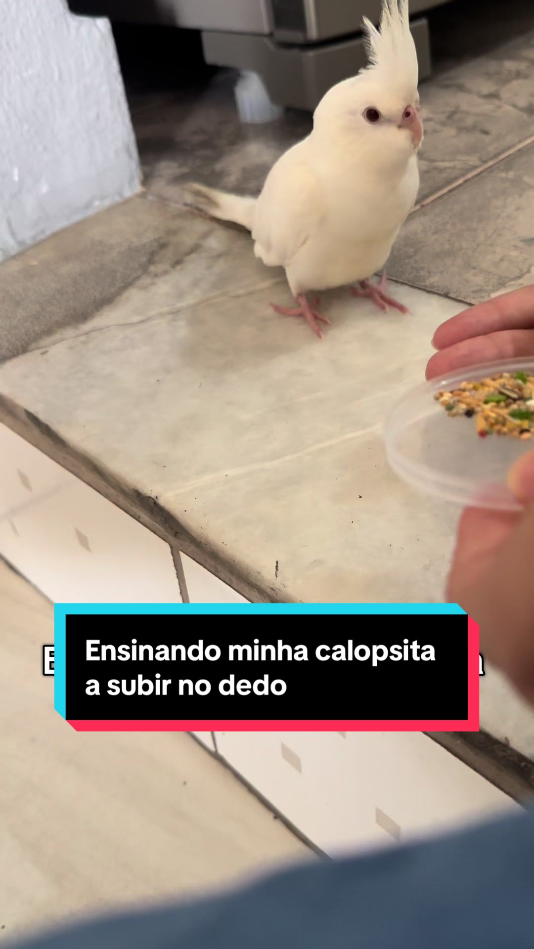 @Sess&atilde;o Pipoca 🍿 🎥
