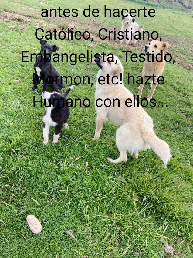 @Shirley Juárez