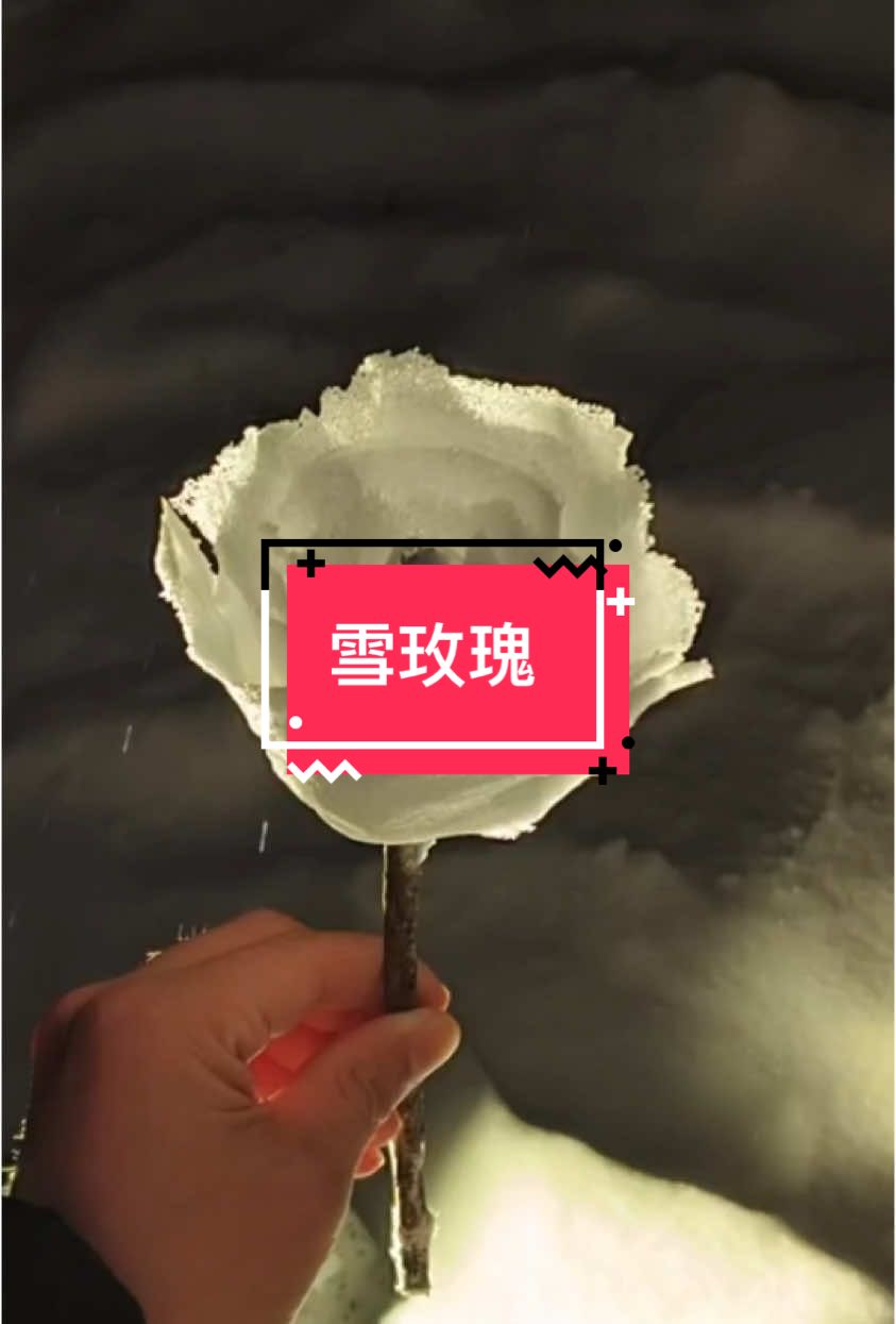 @珉兒