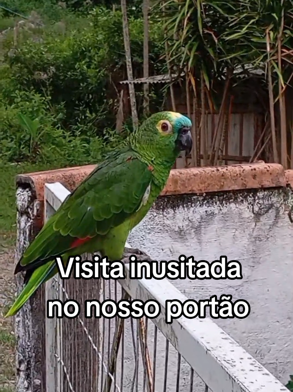 @Thandara Moreira Rugbi