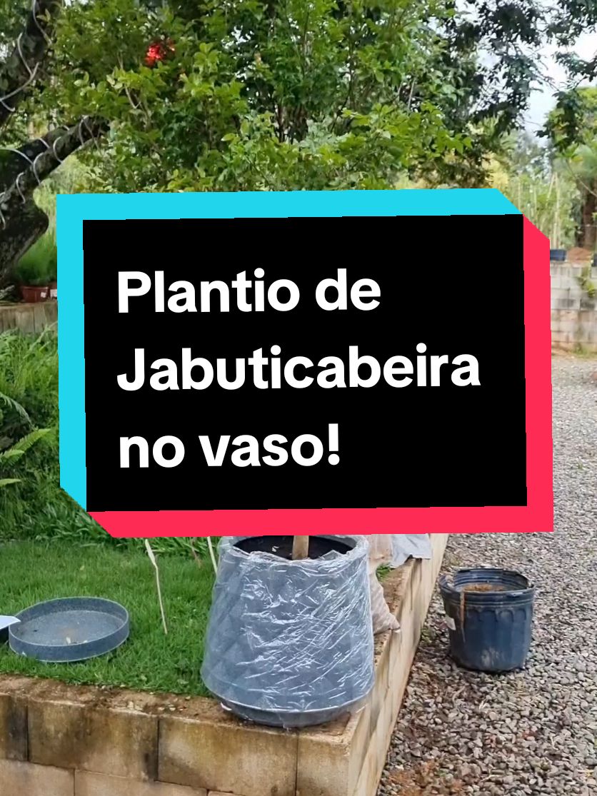@Lucasgoncalvesbh