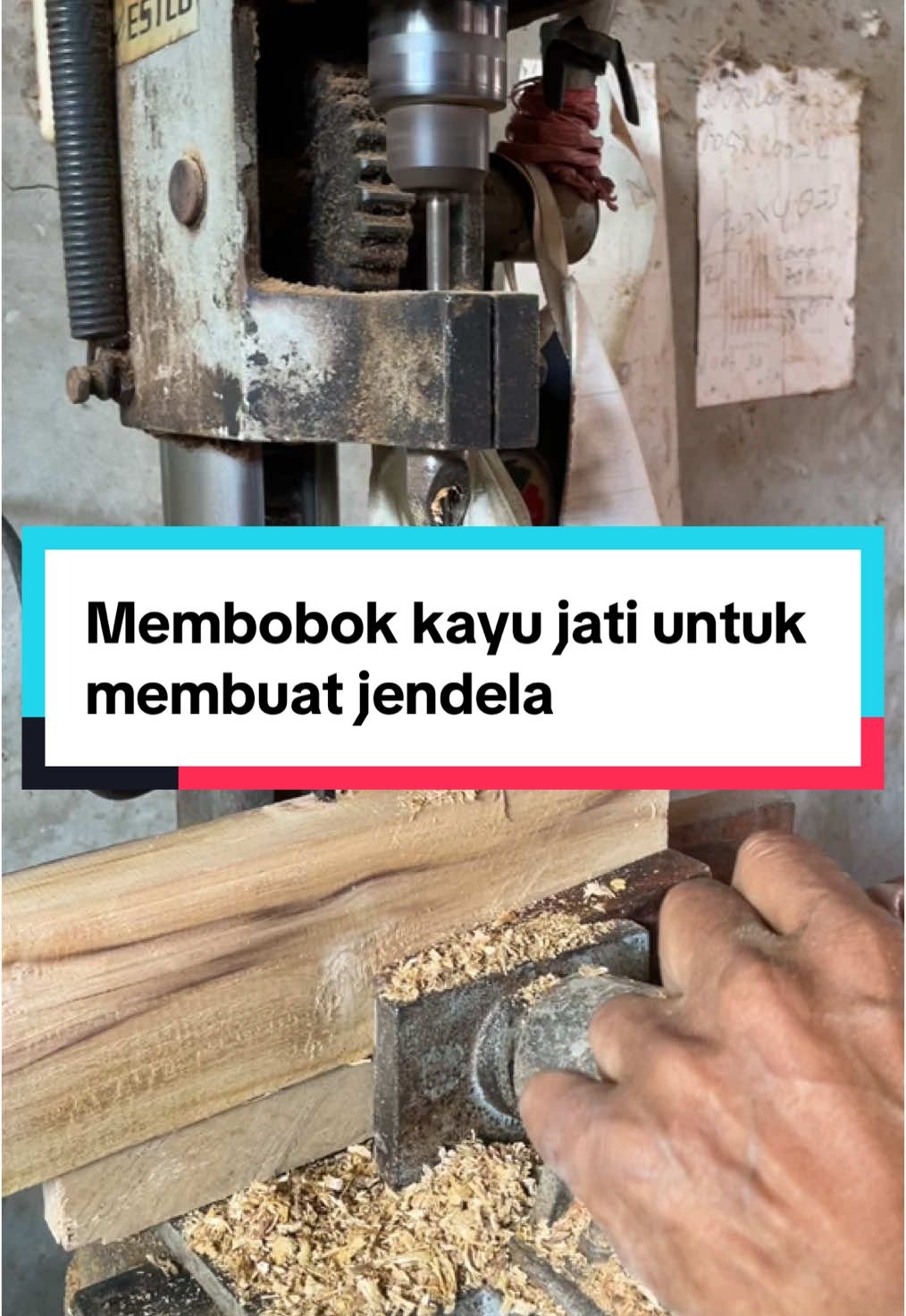 @Bos Kayu