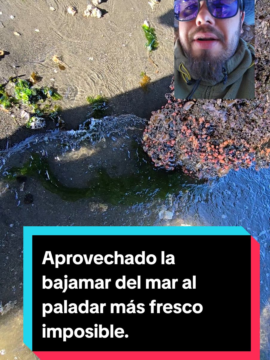@jorge_el_chilote