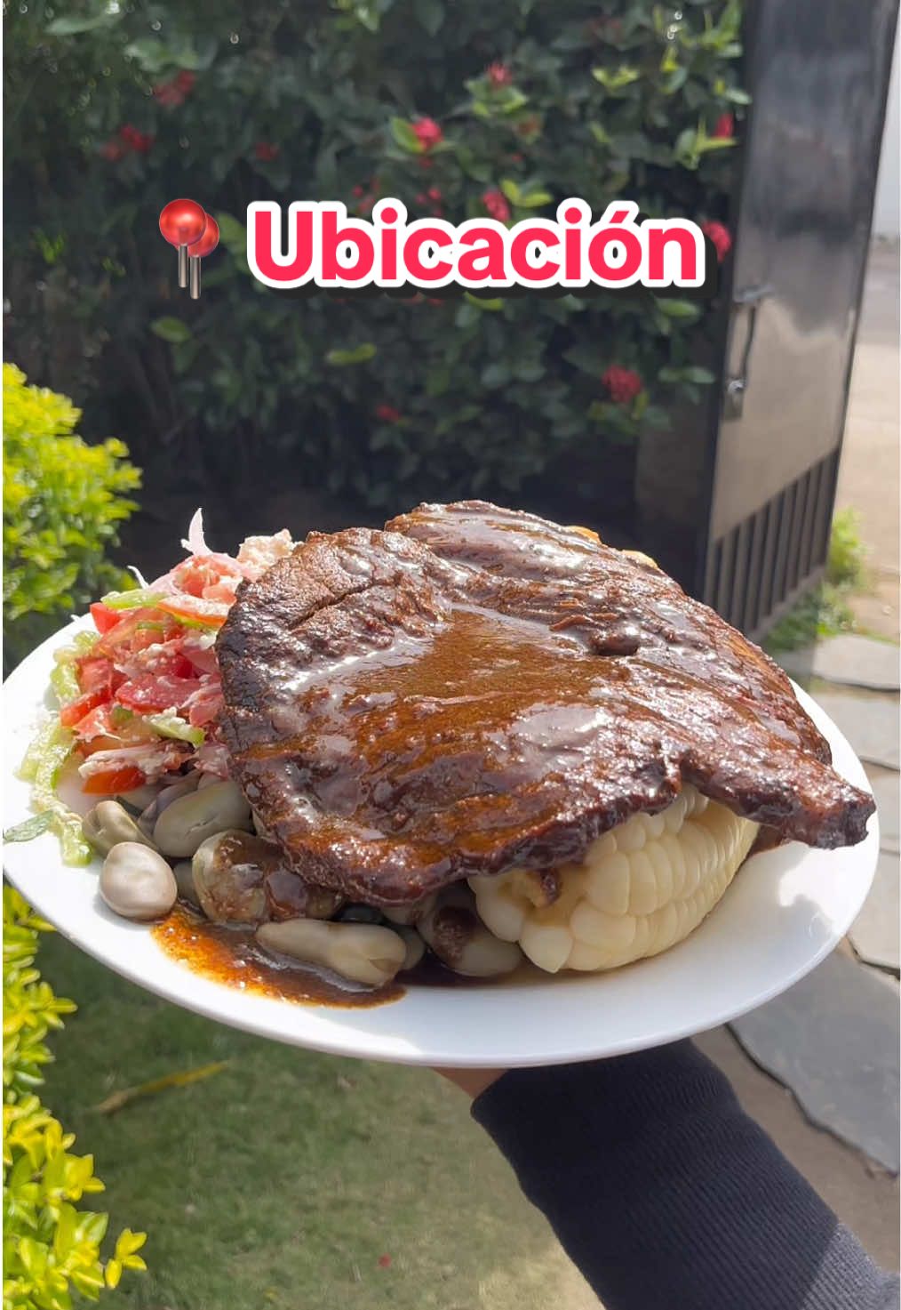 @lacasadelgordoscz