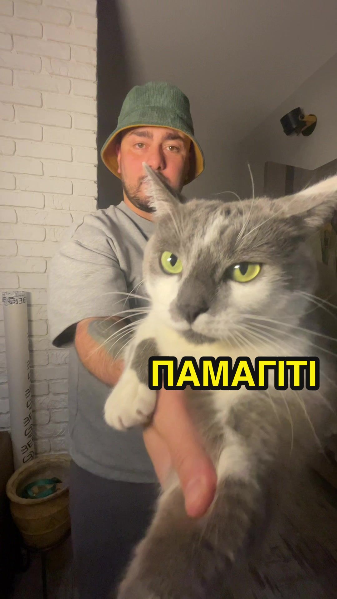 @DAVA