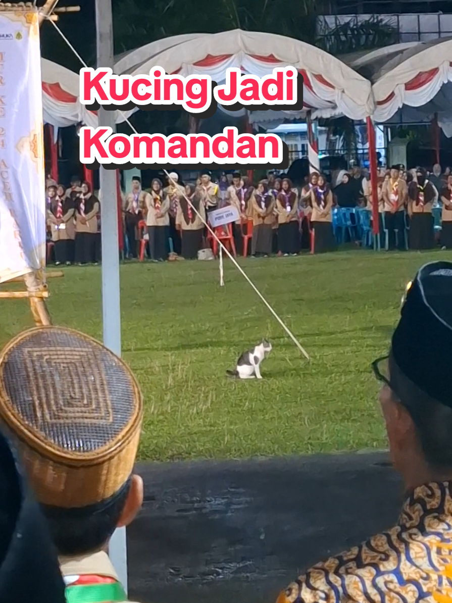 @Kemah Karakter