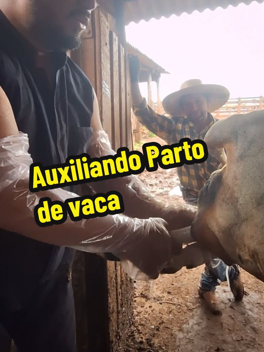 @Fabinho de Lima
