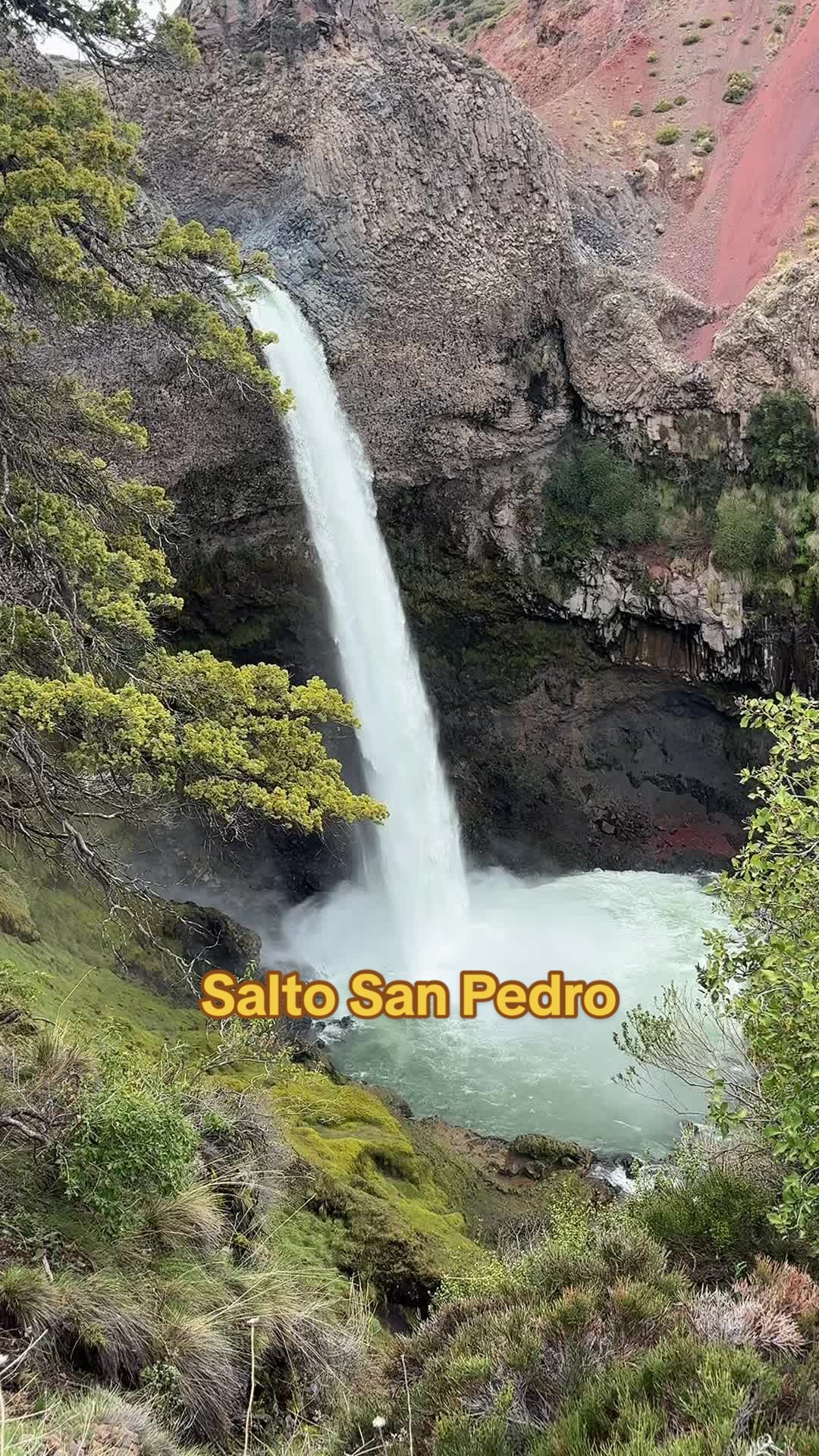 @Sebastian Moreno🏕️