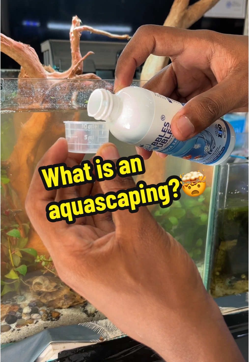 @YN Aquatics Ltd