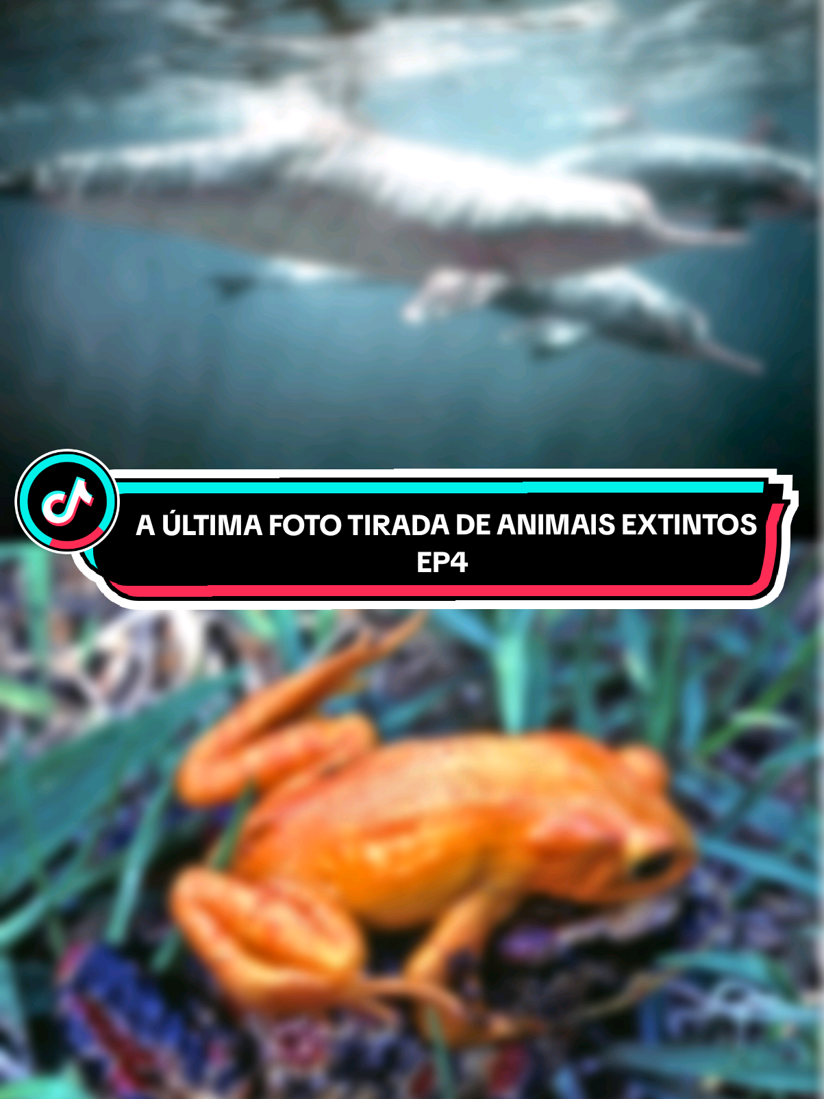 @Curiosidades sobre Biologia