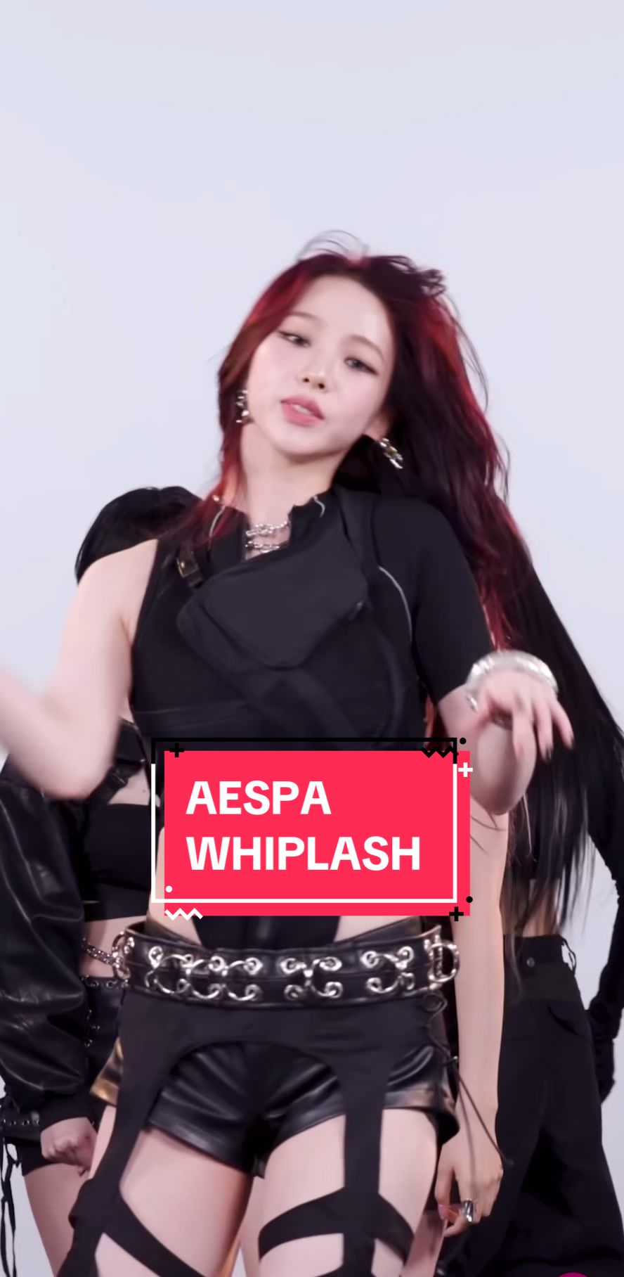 @venus fancams ★
