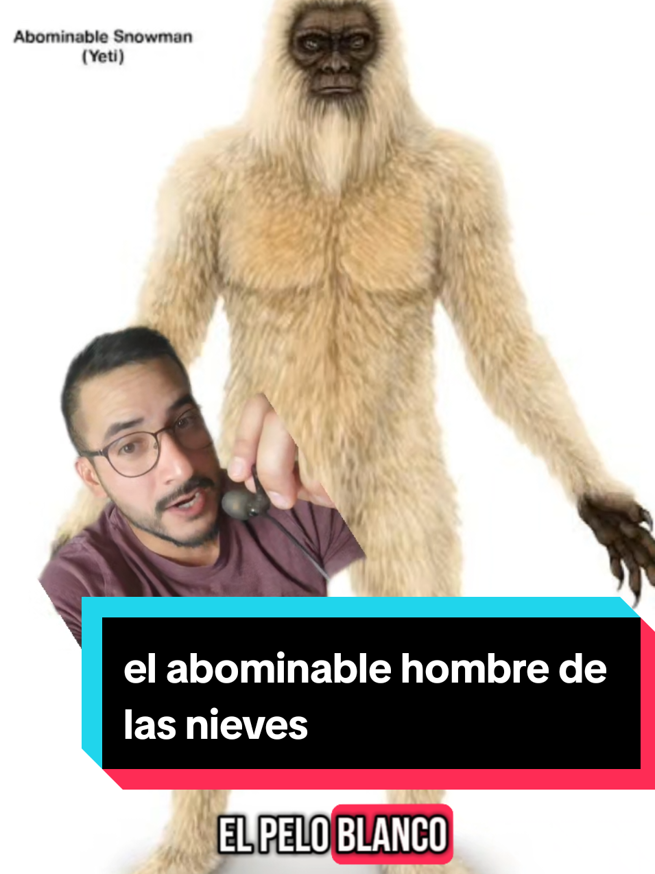 @nolosejose