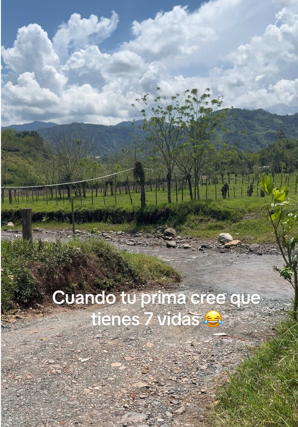 @Aleja🍀