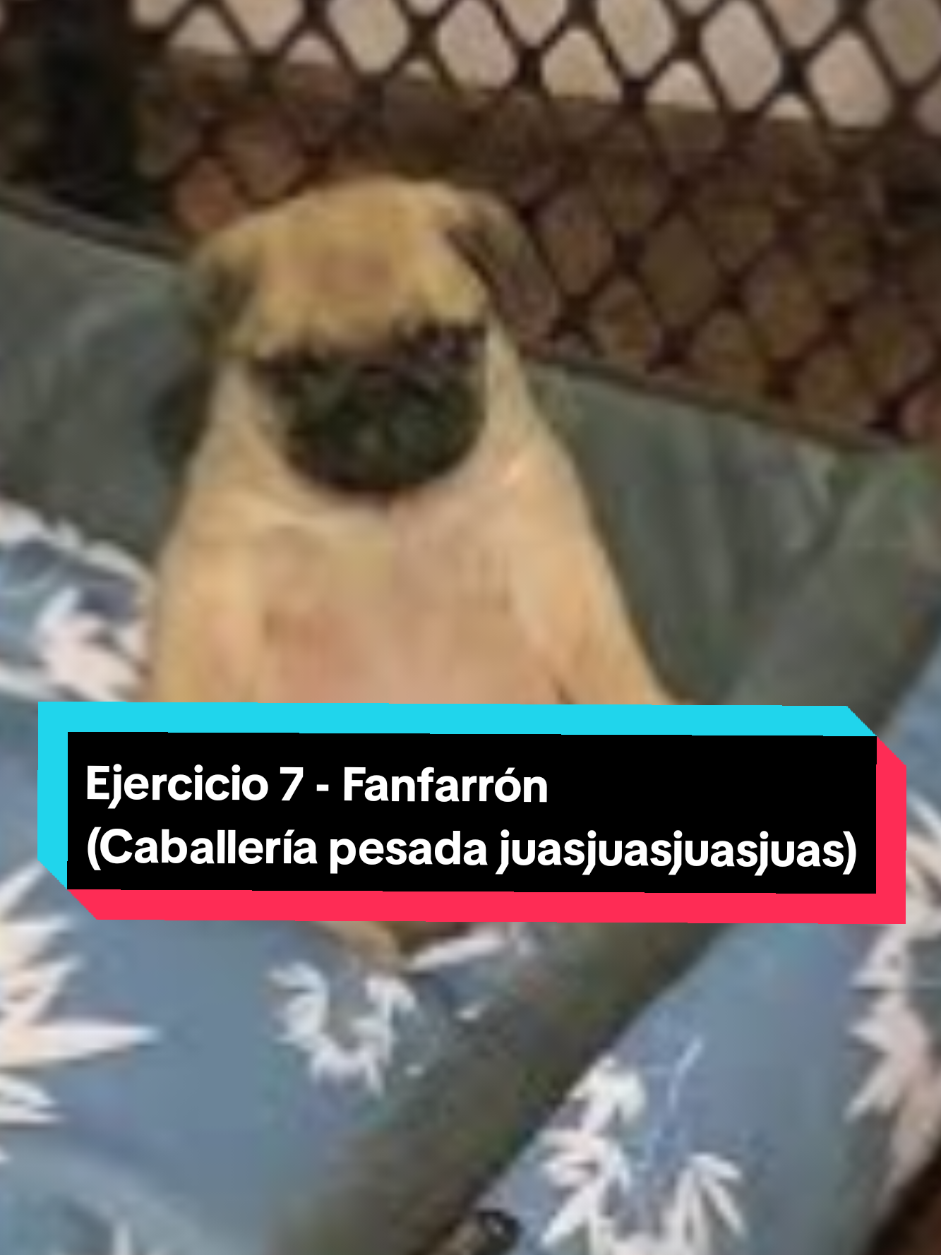 @Yaxkin Ram&iacute;rez