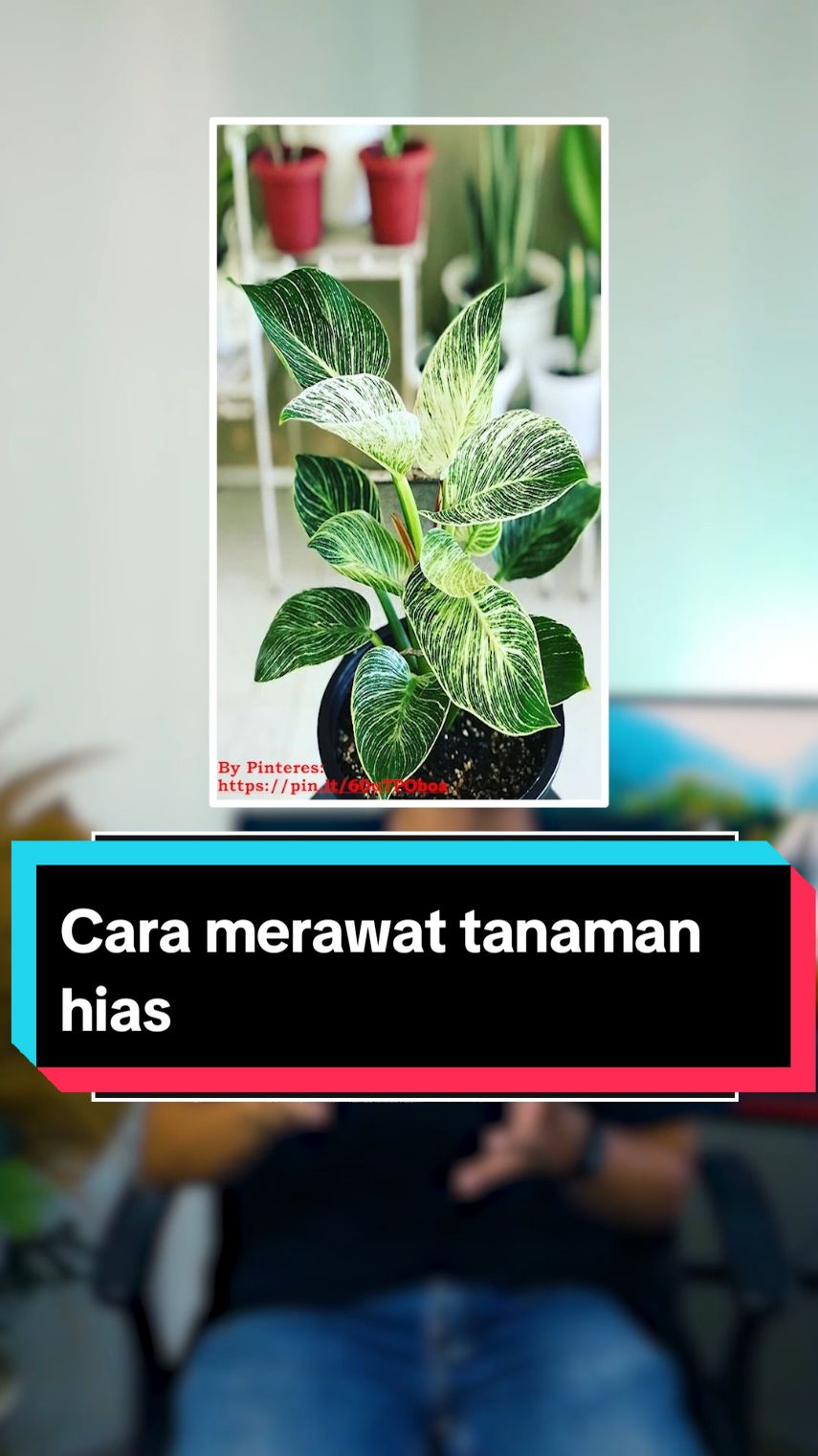 @tiperumah.id