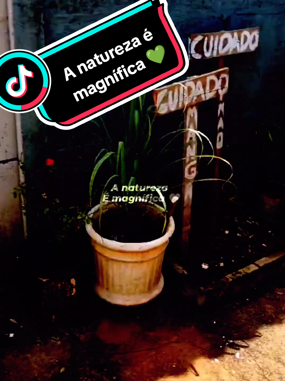@☮︎ℭ𝔲𝔯𝔲𝔭𝔦𝔯𝔞☮︎