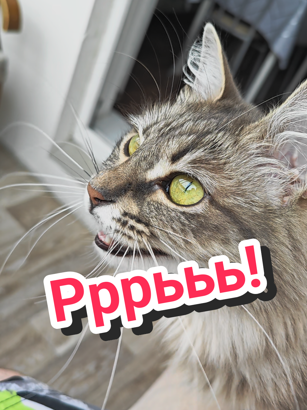 @Баст / Баста / Бася