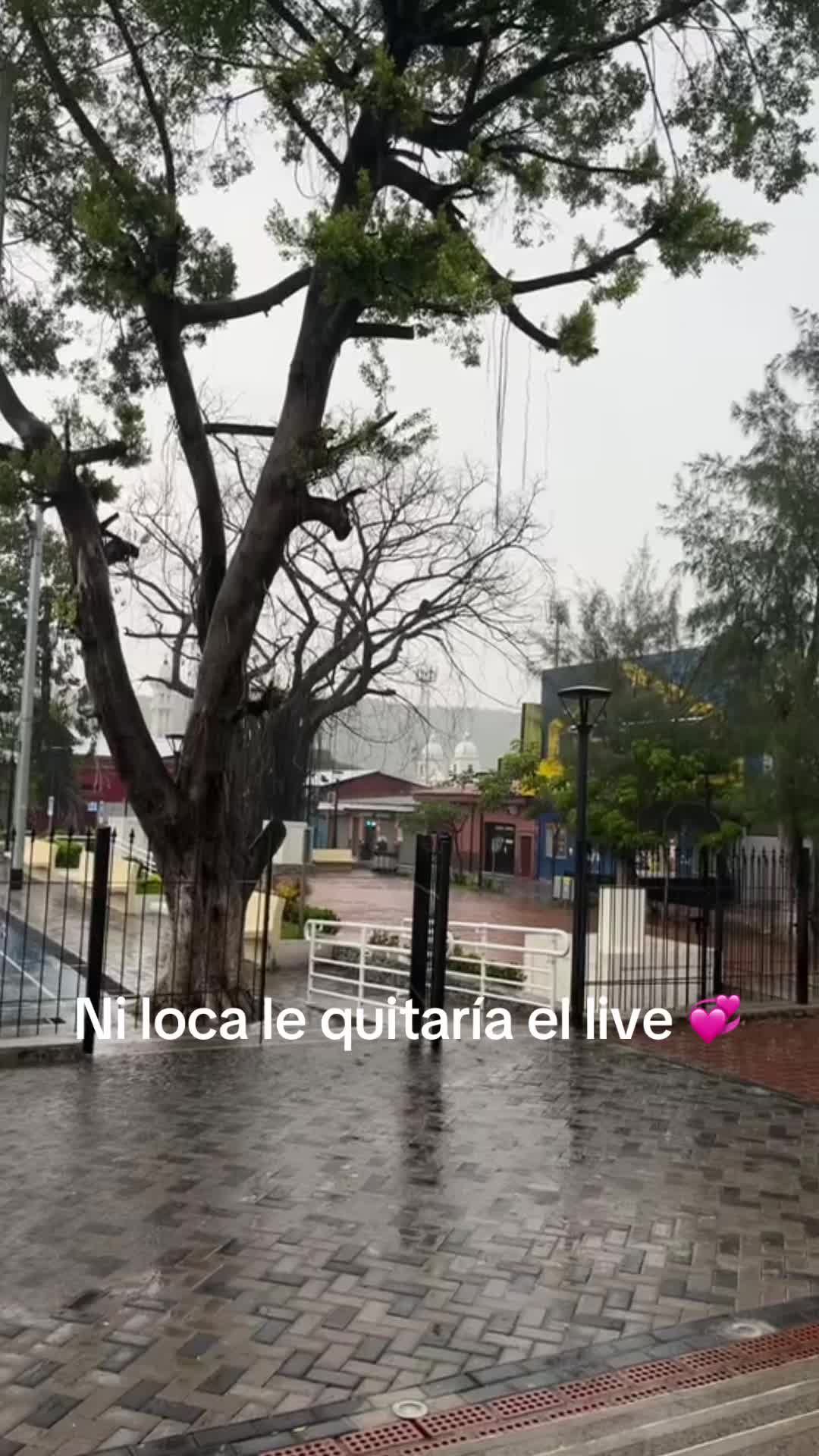 @Cintya Diaz 🦋