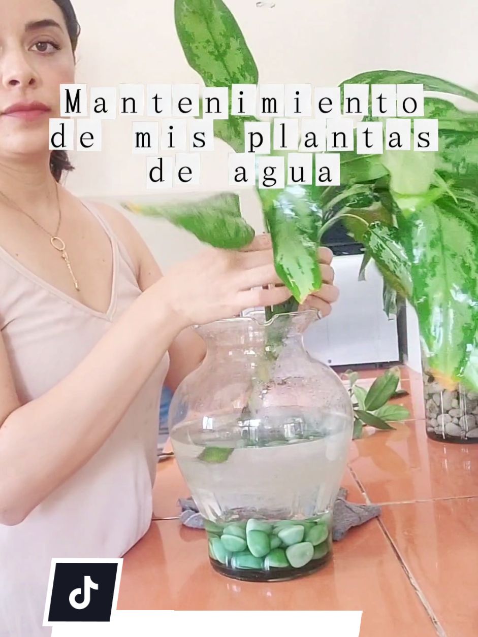 @Plantolog&iacute;a🌿