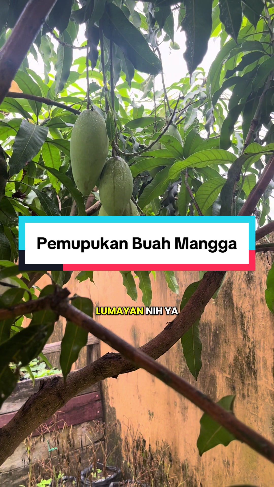 @Pak Polisi Hutan
