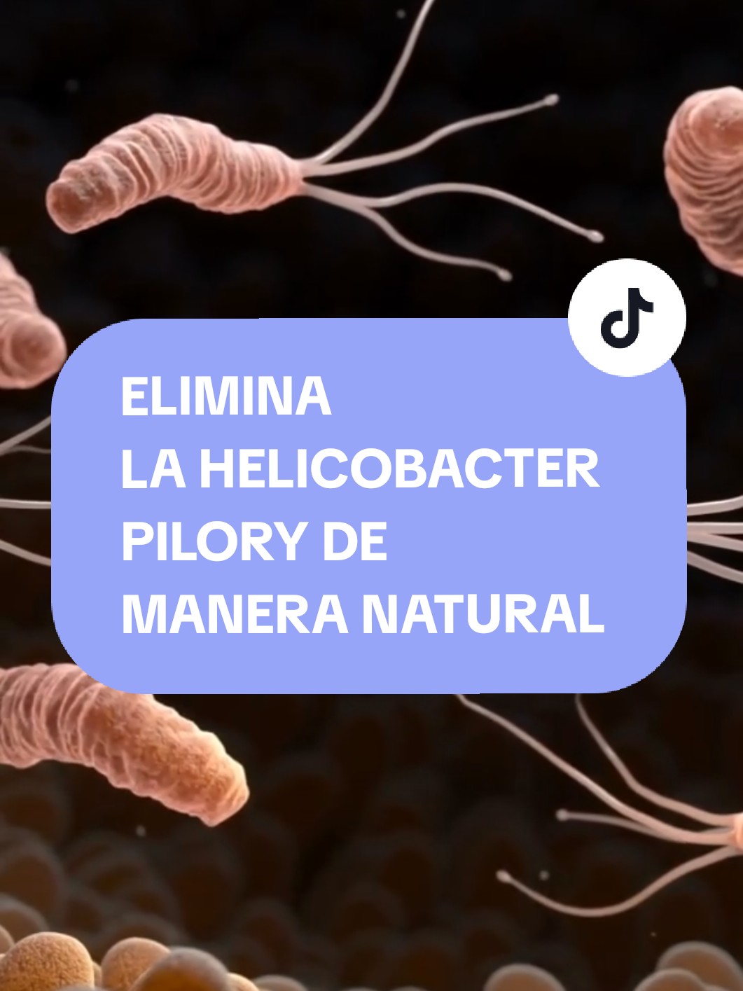 @Adriana| Erradica la gastritis
