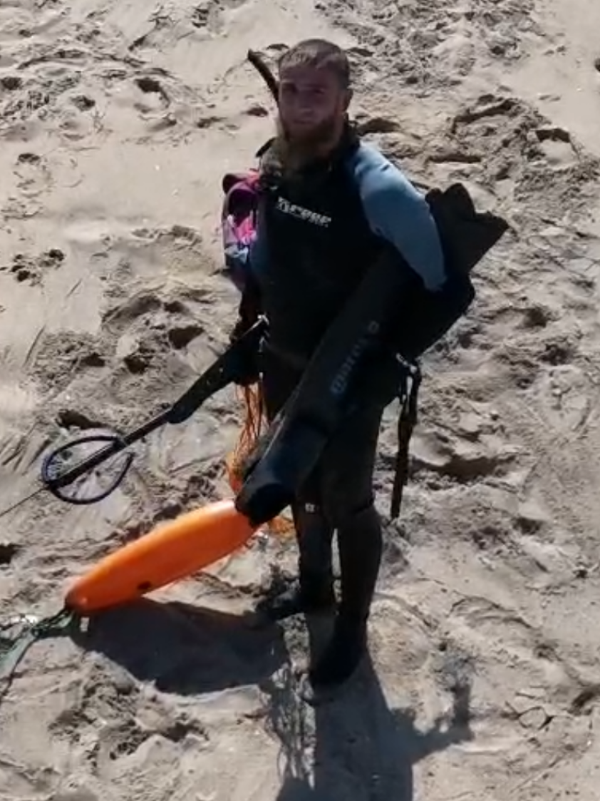 @🌊 Chilliwhip 🌊
