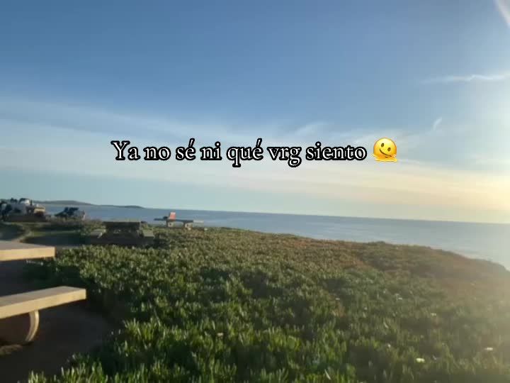 @Stela🦇