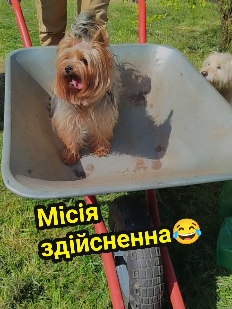 @Эльвира Кудинова