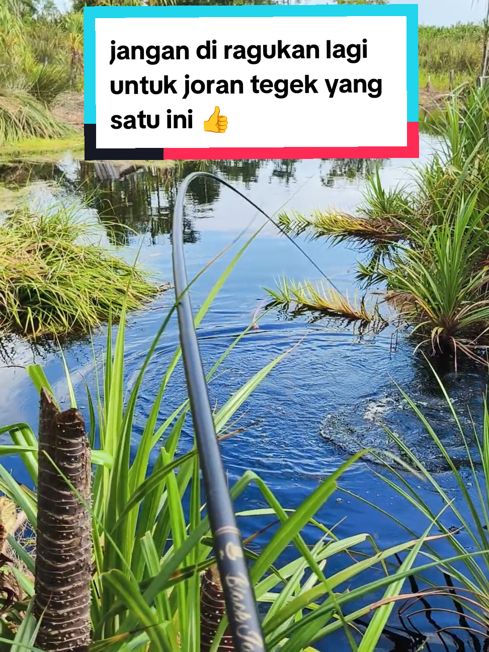 @Ucup borneo fishing