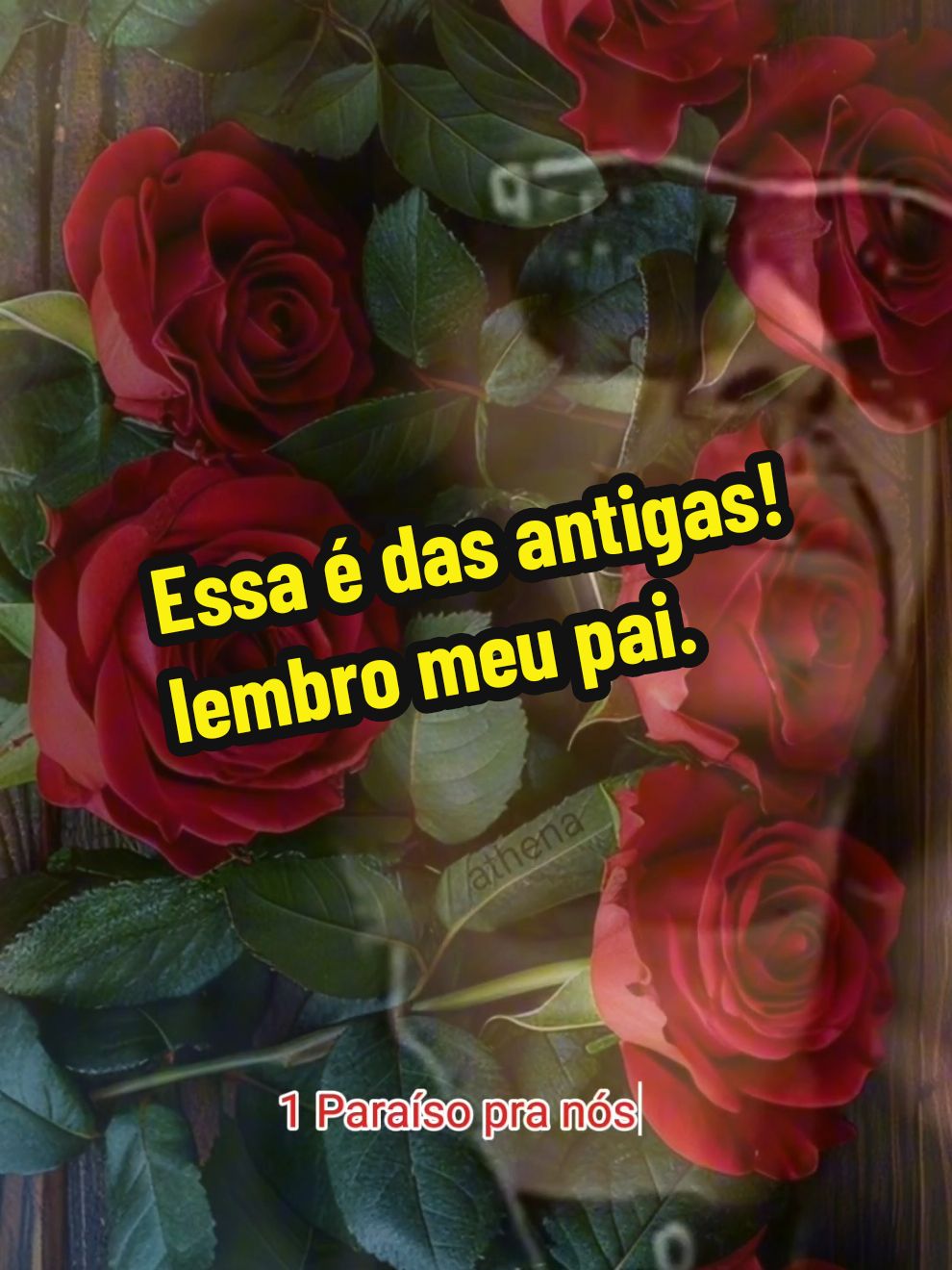 @Moda caipira