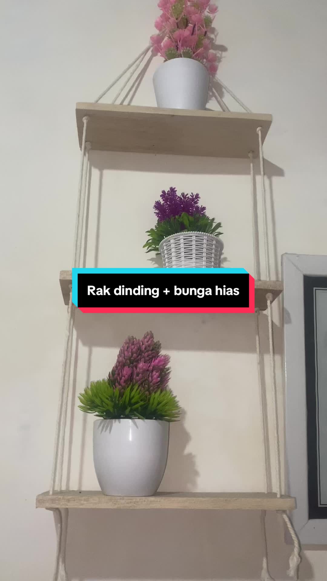 @SERBA MURAH DONK