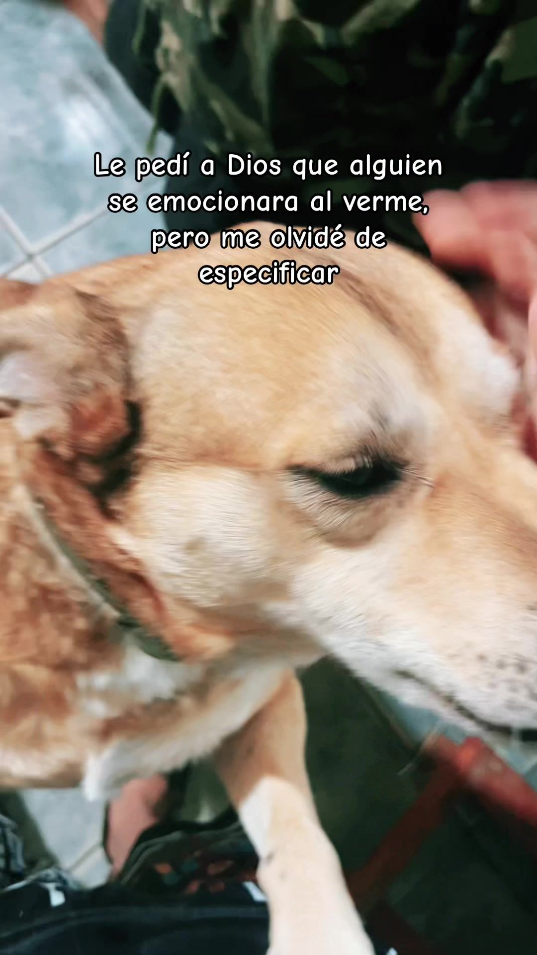 @Torresss