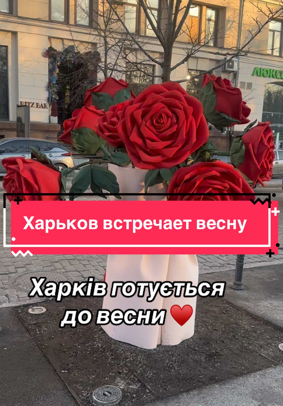 @Alena ✌️