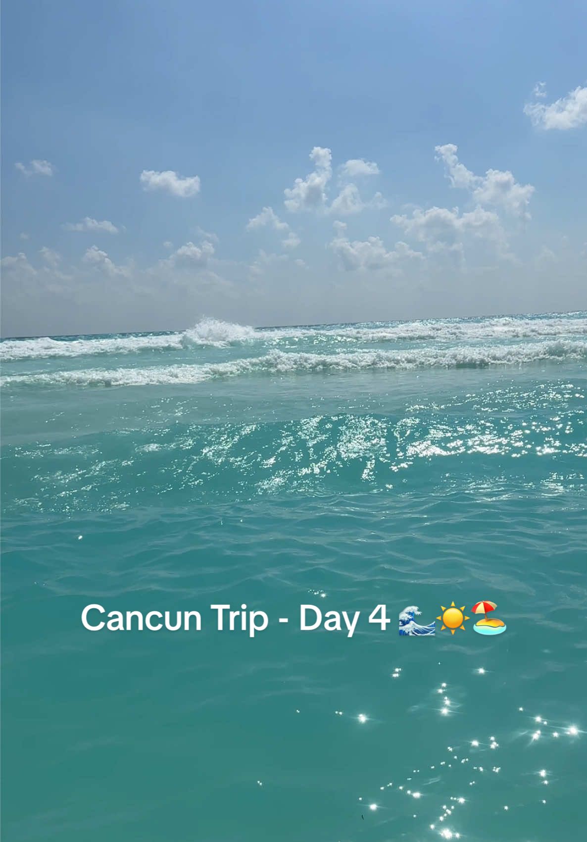 @𝓙𝓮𝓵𝓼𝓮𝓮 𝓐. 💕