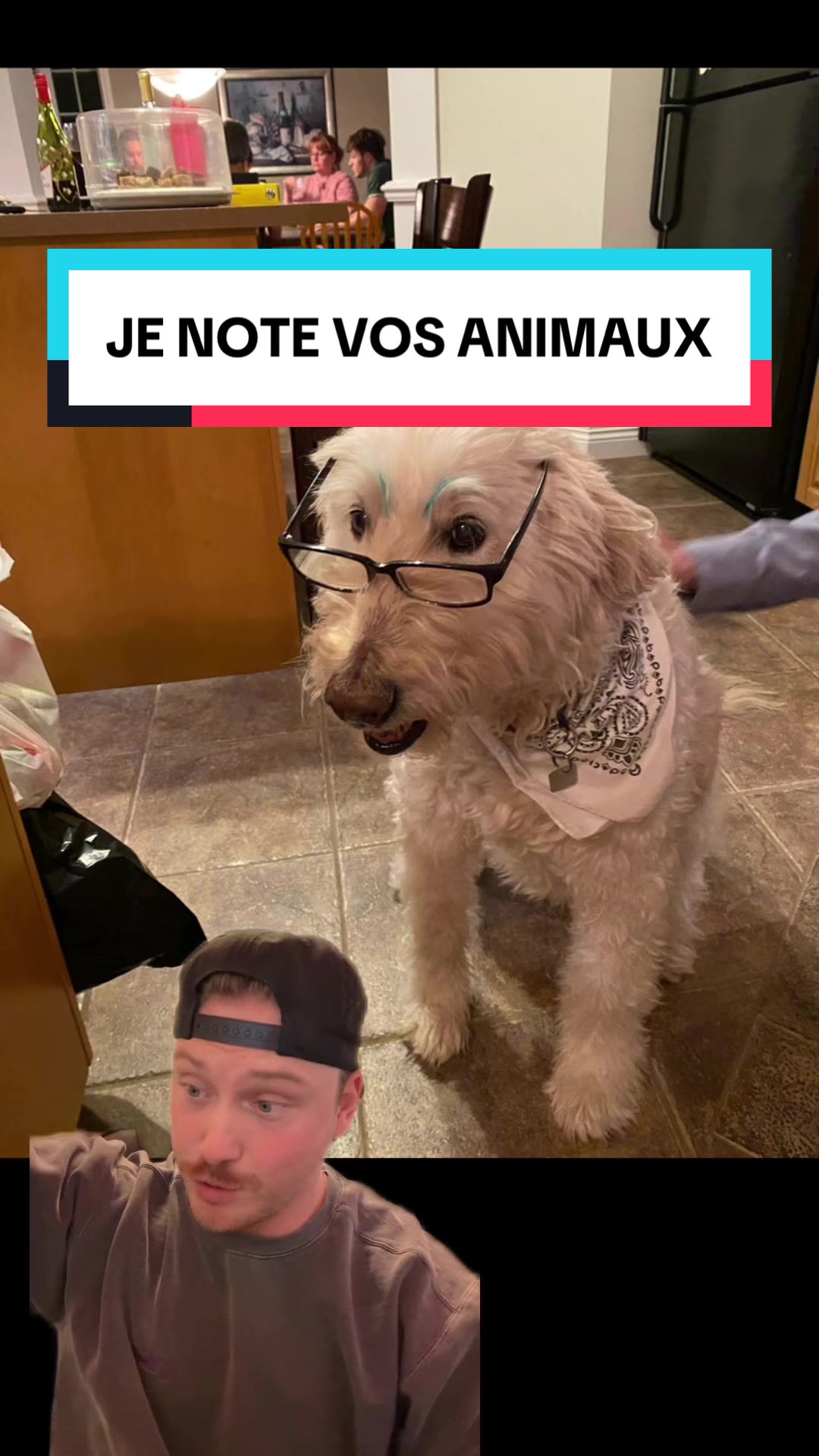 @messierlaterreur