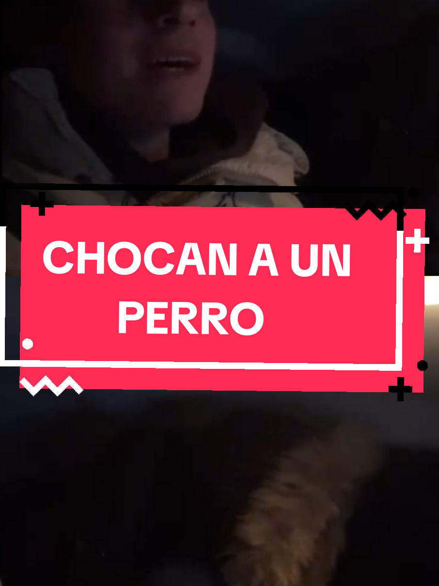@Frizza Rap