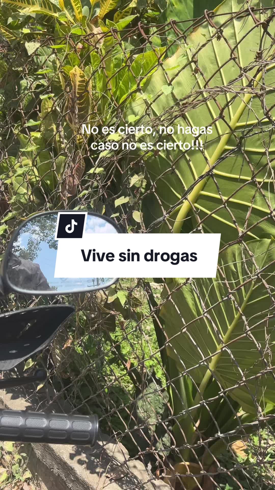 @Luis