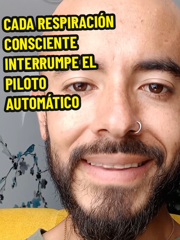 @Diego Dao