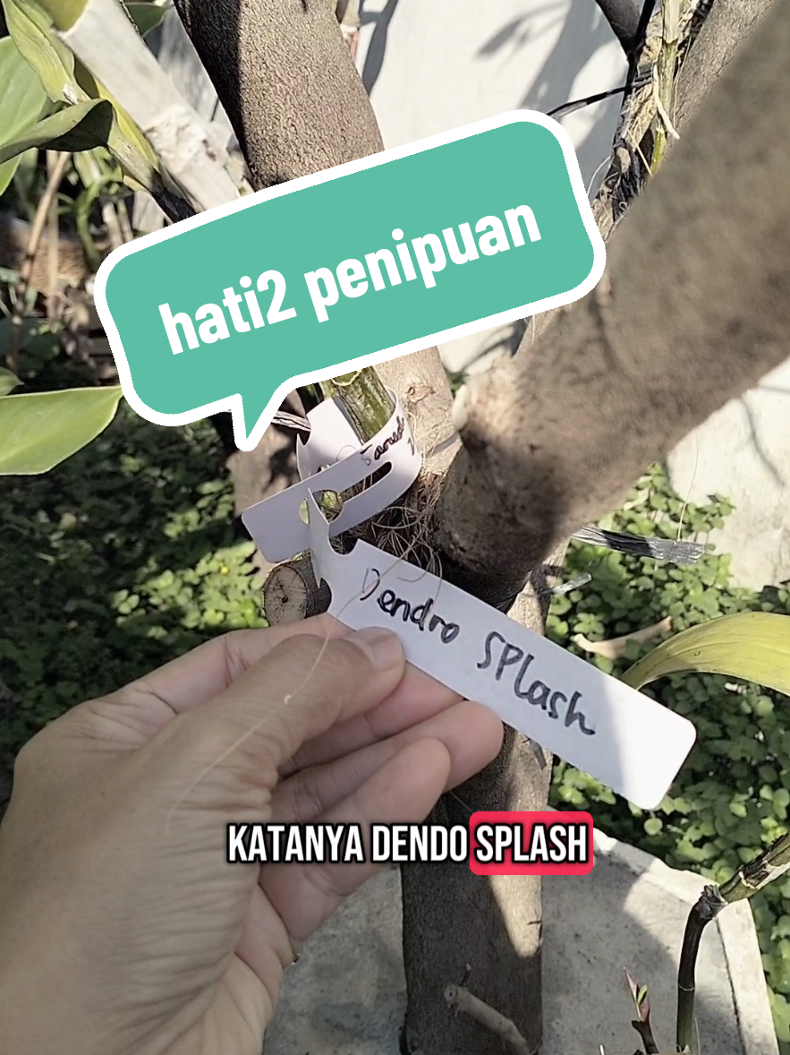 @Icha Hendia