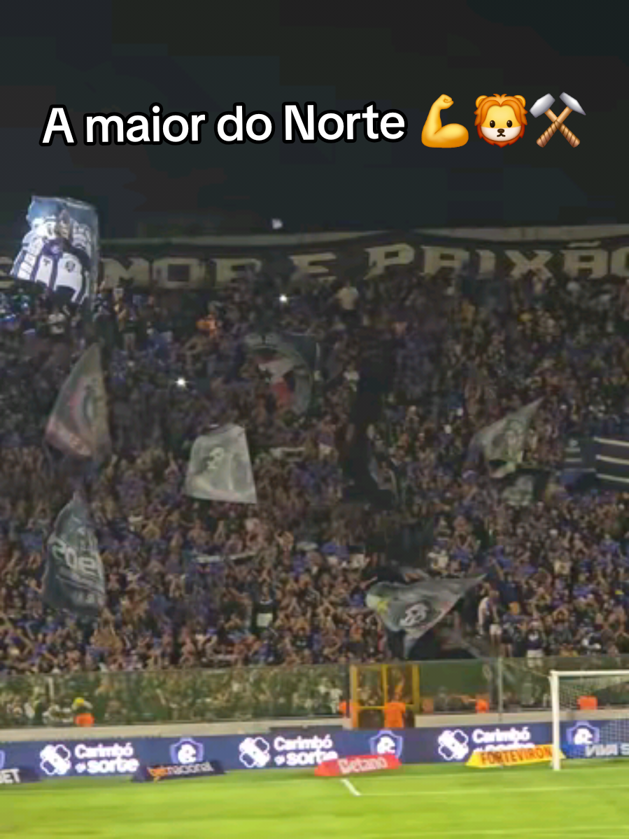 @Plantão Remista