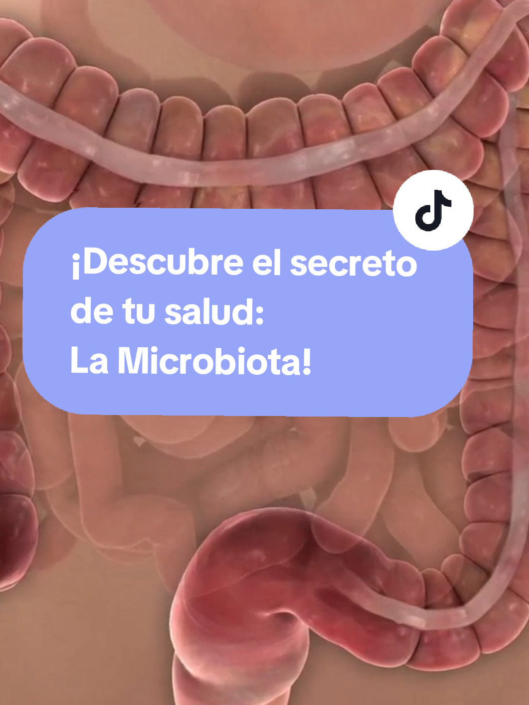 @Adriana| Erradica la gastritis