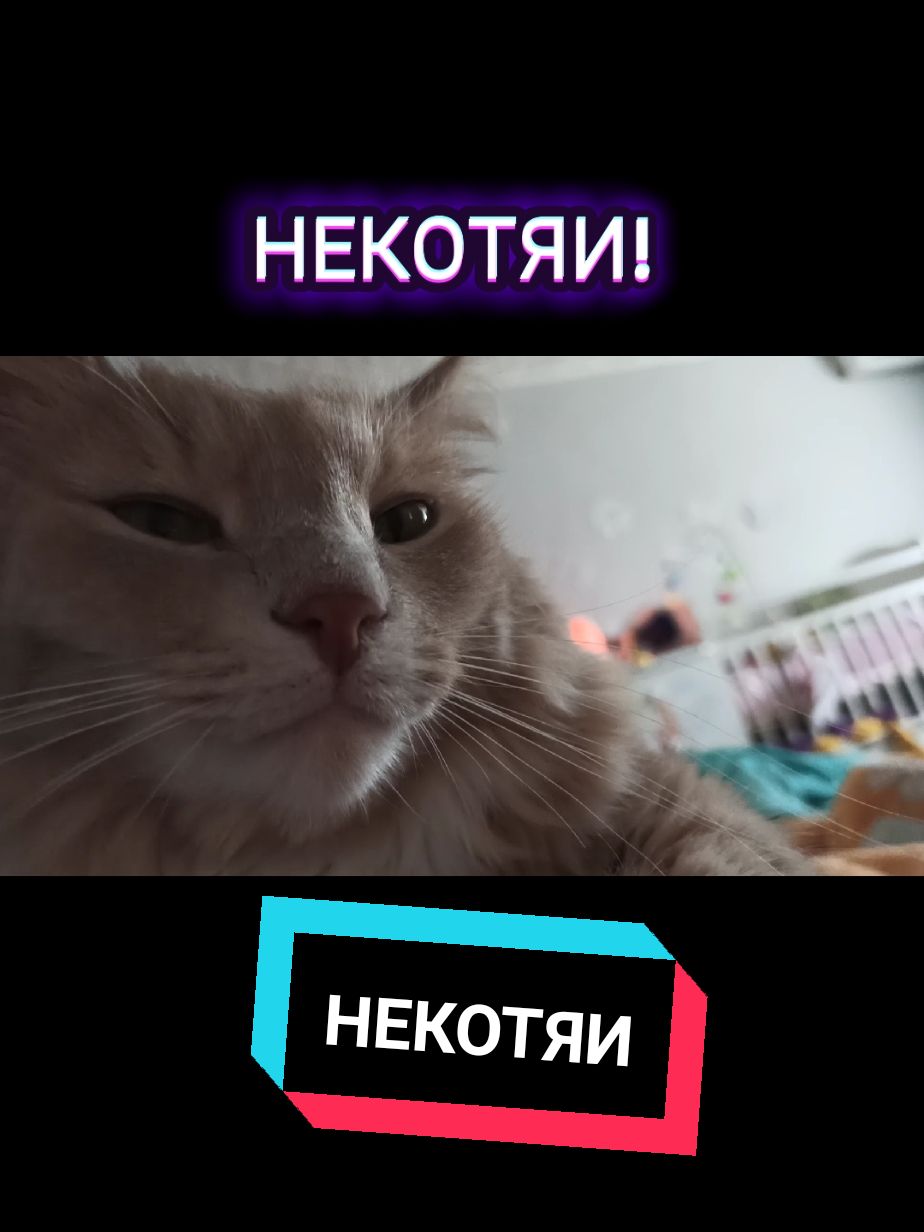 @leva.opakot