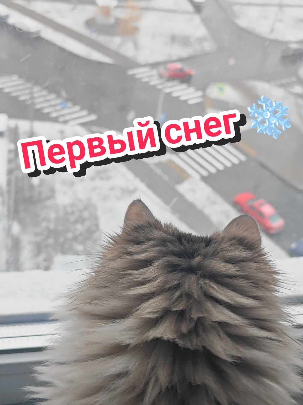 @Баст / Баста / Бася