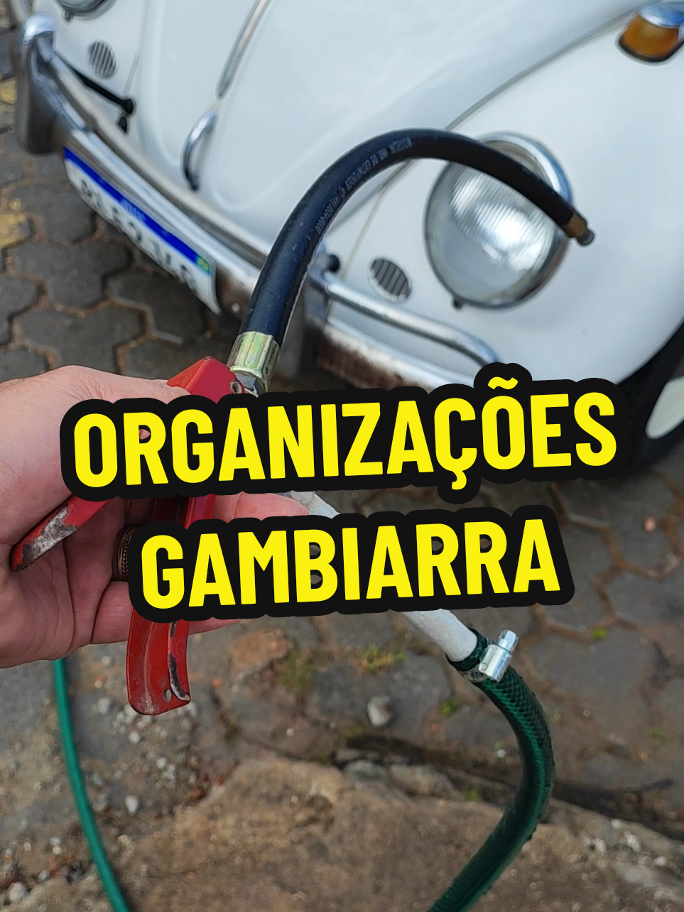 @Espirito Velho