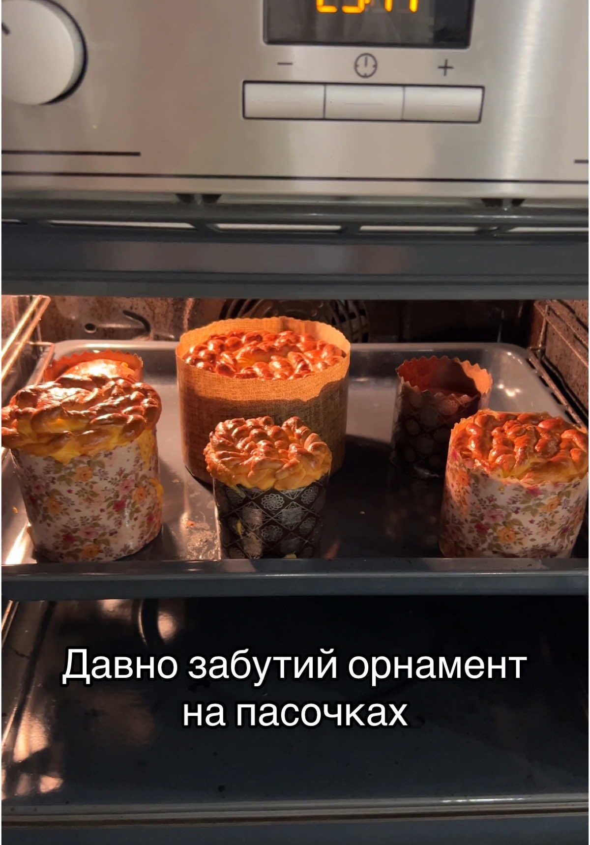 @UGC КРІЕЙТОР | МОДЕЛЬ