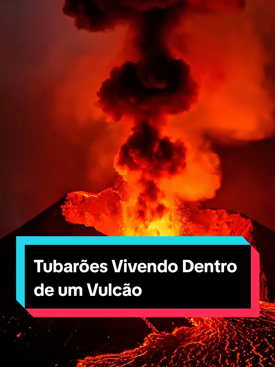 @Curiosidade Di&aacute;ria