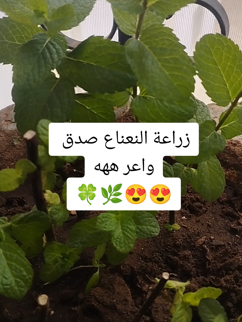 @Hicham.Arouhal