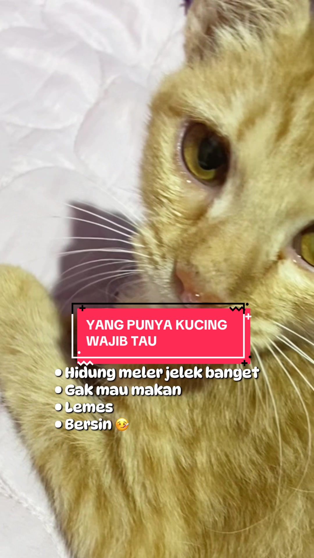 @Cikchubwa