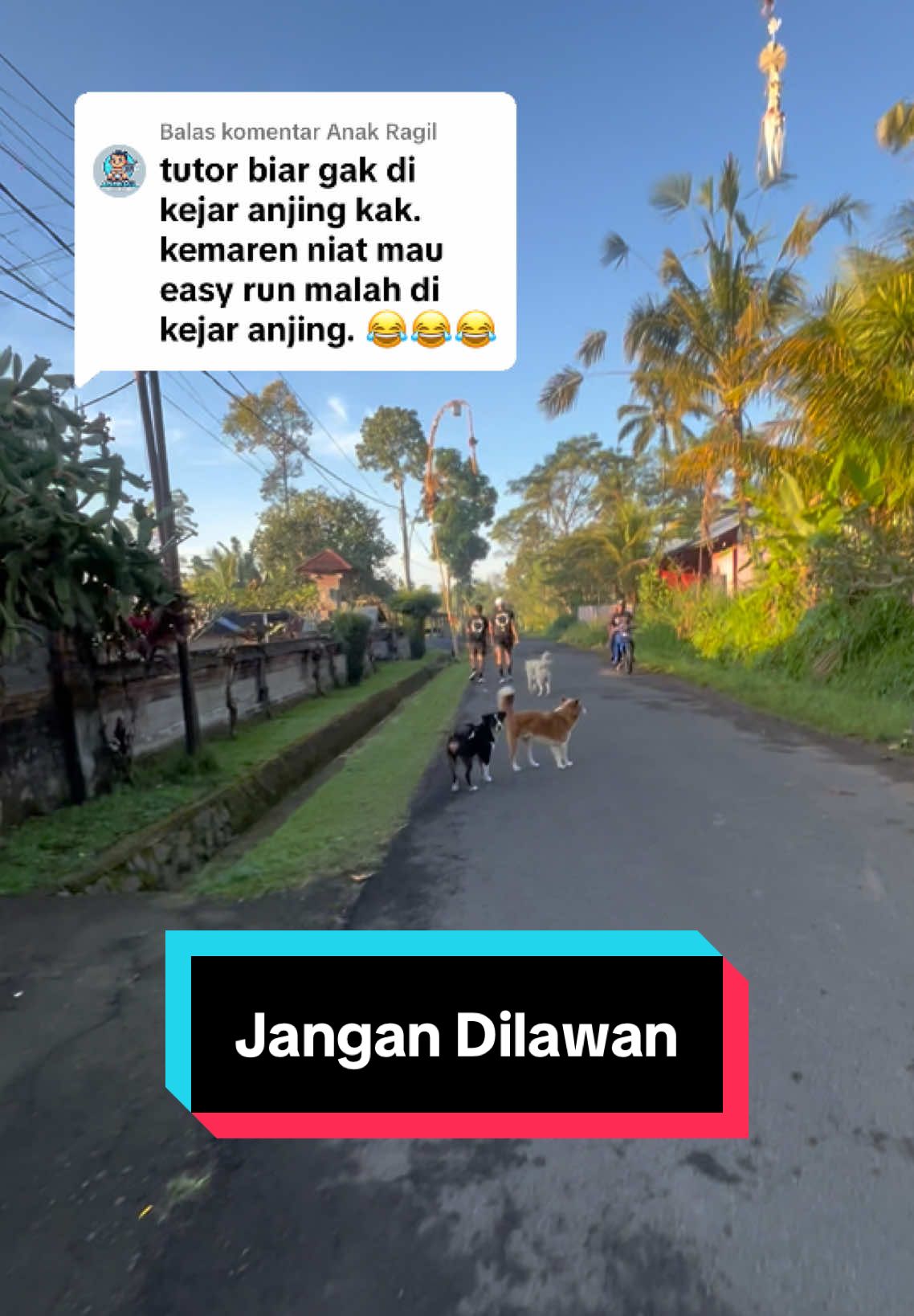 @Doctrinesia